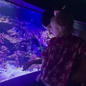 Meet your Posher, Bryan